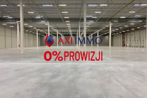 Komercyjne do wynajęcia 5270m2 Szczecin - zdjęcie 1