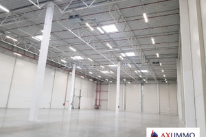 Komercyjne do wynajęcia 2300m2 Łódź Widzew - zdjęcie 2