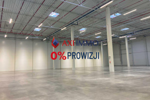 Komercyjne do wynajęcia 30000m2 brzeski Brzesko - zdjęcie 2