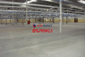 Komercyjne do wynajęcia 10000m2 Łódź Widzew - zdjęcie 1