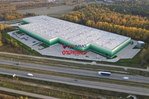 Komercyjne do wynajęcia 4400m2 miński Mińsk Mazowiecki - zdjęcie 2