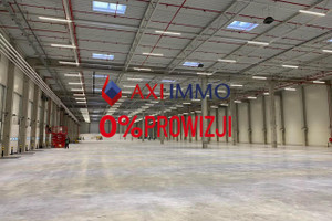 Komercyjne do wynajęcia 7290m2 Zabrze - zdjęcie 2