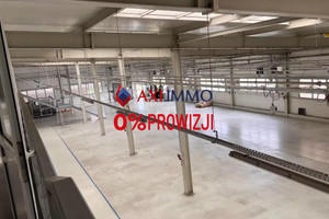 Komercyjne na sprzedaż 6400m2 Legnica - zdjęcie 2