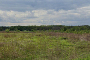 Działka na sprzedaż 69000m2 pruszkowski Raszyn - zdjęcie 1