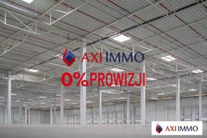 Komercyjne do wynajęcia 14300m2 Sosnowiec - zdjęcie 1