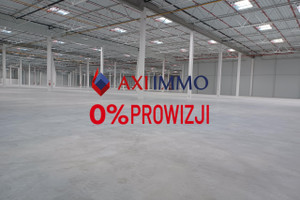 Komercyjne do wynajęcia 4210m2 Szczecin - zdjęcie 2