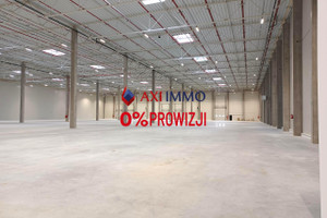 Komercyjne do wynajęcia 15000m2 pabianicki Pabianice - zdjęcie 1