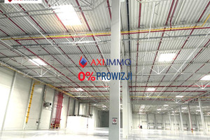 Komercyjne do wynajęcia 20000m2 Rzeszów - zdjęcie 1