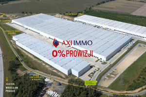 Komercyjne do wynajęcia 10000m2 żagański Iłowa - zdjęcie 2