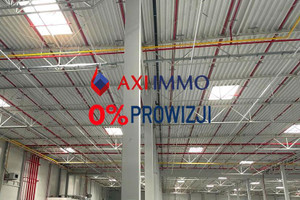 Komercyjne do wynajęcia 10000m2 krakowski Słomniki - zdjęcie 1