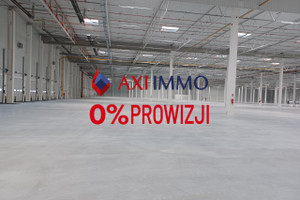 Komercyjne do wynajęcia 25200m2 Szczecin - zdjęcie 2