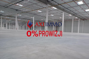 Komercyjne do wynajęcia 5560m2 policki Kołbaskowo - zdjęcie 1