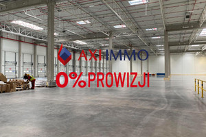 Komercyjne do wynajęcia 7500m2 Katowice - zdjęcie 2