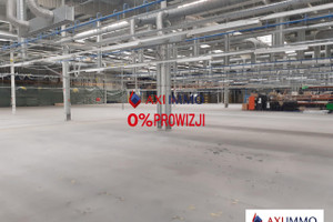 Komercyjne do wynajęcia 10000m2 Łódź Widzew - zdjęcie 1