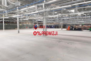 Komercyjne do wynajęcia 10000m2 Łódź Widzew - zdjęcie 1