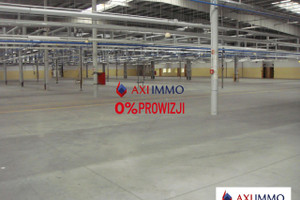 Komercyjne do wynajęcia 10000m2 Łódź Widzew - zdjęcie 2