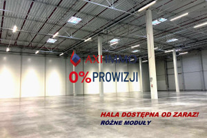 Komercyjne do wynajęcia 8000m2 Kraków - zdjęcie 1