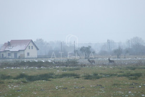 Działka na sprzedaż 1058m2 policki Kołbaskowo Karwowo - zdjęcie 2