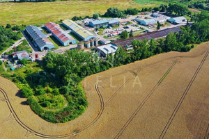 Komercyjne do wynajęcia 1120m2 gryfiński Gryfino - zdjęcie 1