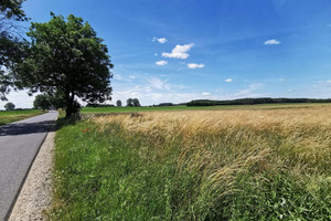 Działka na sprzedaż 27800m2 złotowski Złotów Kleszczyna - zdjęcie 3