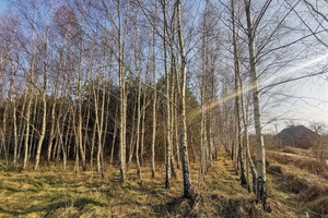 Działka na sprzedaż 18900m2 złotowski Lipka Czyżkowo - zdjęcie 3