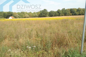 Działka na sprzedaż 1680m2 wrocławski Sobótka Mirosławice - zdjęcie 1