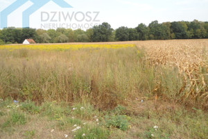 Działka na sprzedaż 1680m2 wrocławski Sobótka Mirosławice - zdjęcie 3