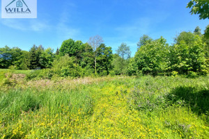 Działka na sprzedaż 3137m2 wałbrzyski Jedlina-Zdrój - zdjęcie 1