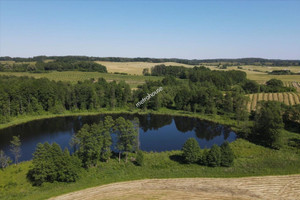 Działka na sprzedaż 155400m2 giżycki Wydminy Malinka - zdjęcie 4