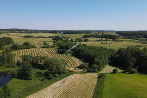 Działka na sprzedaż 155400m2 giżycki Wydminy Malinka - zdjęcie 3