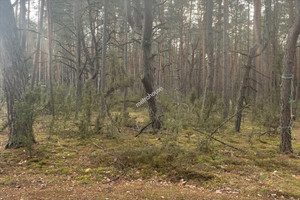 Działka na sprzedaż 3509m2 wyszkowski Somianka Popowo-Letnisko - zdjęcie 1