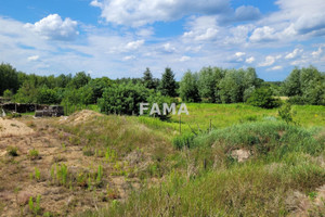 Działka na sprzedaż 1248m2 włocławski Fabianki Stary Witoszyn - zdjęcie 1