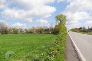 Działka na sprzedaż 5463m2 zamojski Stary Zamość Udrycze-Wola Udrycze Wola - zdjęcie 1