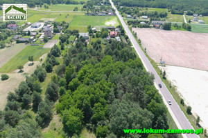 Działka na sprzedaż 3800m2 zamojski Zamość Lipsko-Polesie - zdjęcie 3