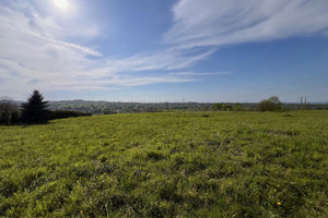 Działka na sprzedaż 19062m2 krakowski Skawina Radziszów - zdjęcie 3