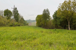 Działka na sprzedaż 7900m2 krakowski Skawina Krzęcin - zdjęcie 1