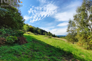 Działka na sprzedaż 5600m2 myślenicki Pcim - zdjęcie 3