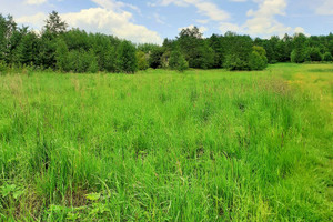 Komercyjne na sprzedaż 4700m2 wadowicki Mucharz - zdjęcie 1