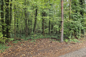 Działka na sprzedaż 1900m2 piaseczyński Lesznowola Magdalenka Podleśna - zdjęcie 2