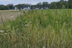 Działka na sprzedaż 10000m2 Warszawa Wilanów Wiedeńska - zdjęcie 2