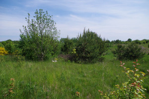 Działka na sprzedaż 10044m2 pucki Kosakowo Dębogórze Pomorska - zdjęcie 2