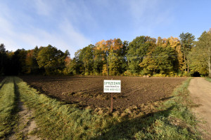 Działka na sprzedaż 2300m2 pucki Krokowa Jeldzino - zdjęcie 3