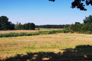 Działka na sprzedaż 1484m2 międzychodzki Sieraków Tuchola Tuchola - zdjęcie 2