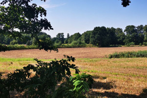 Działka na sprzedaż 1484m2 międzychodzki Sieraków Tuchola Tuchola - zdjęcie 3