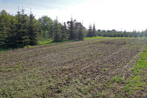 Działka na sprzedaż 1117m2 krakowski Zabierzów Zelków - zdjęcie 2