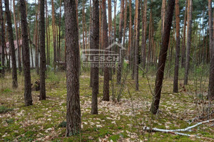 Działka na sprzedaż 1500m2 grodziski Żabia Wola Siestrzeń - zdjęcie 3