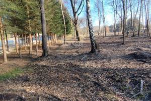 Działka na sprzedaż 11745m2 grodziski Grodzisk Mazowiecki Mościska - zdjęcie 1