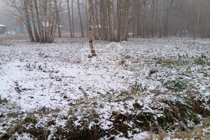 Działka na sprzedaż 3000m2 grodziski Grodzisk Mazowiecki Radonie - zdjęcie 1