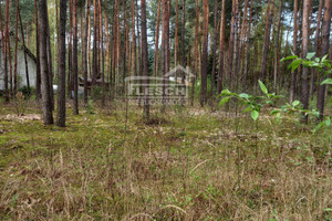 Działka na sprzedaż 1500m2 grodziski Żabia Wola Siestrzeń - zdjęcie 2