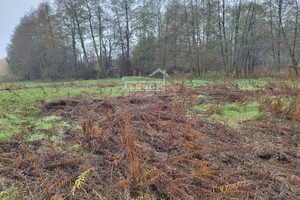 Działka na sprzedaż żyrardowski Radziejowice Adamów-Wieś - zdjęcie 1